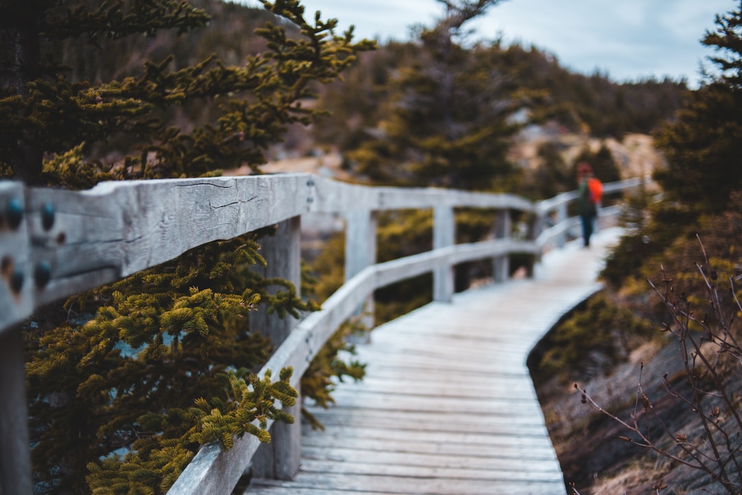 brown wooden bridge over river