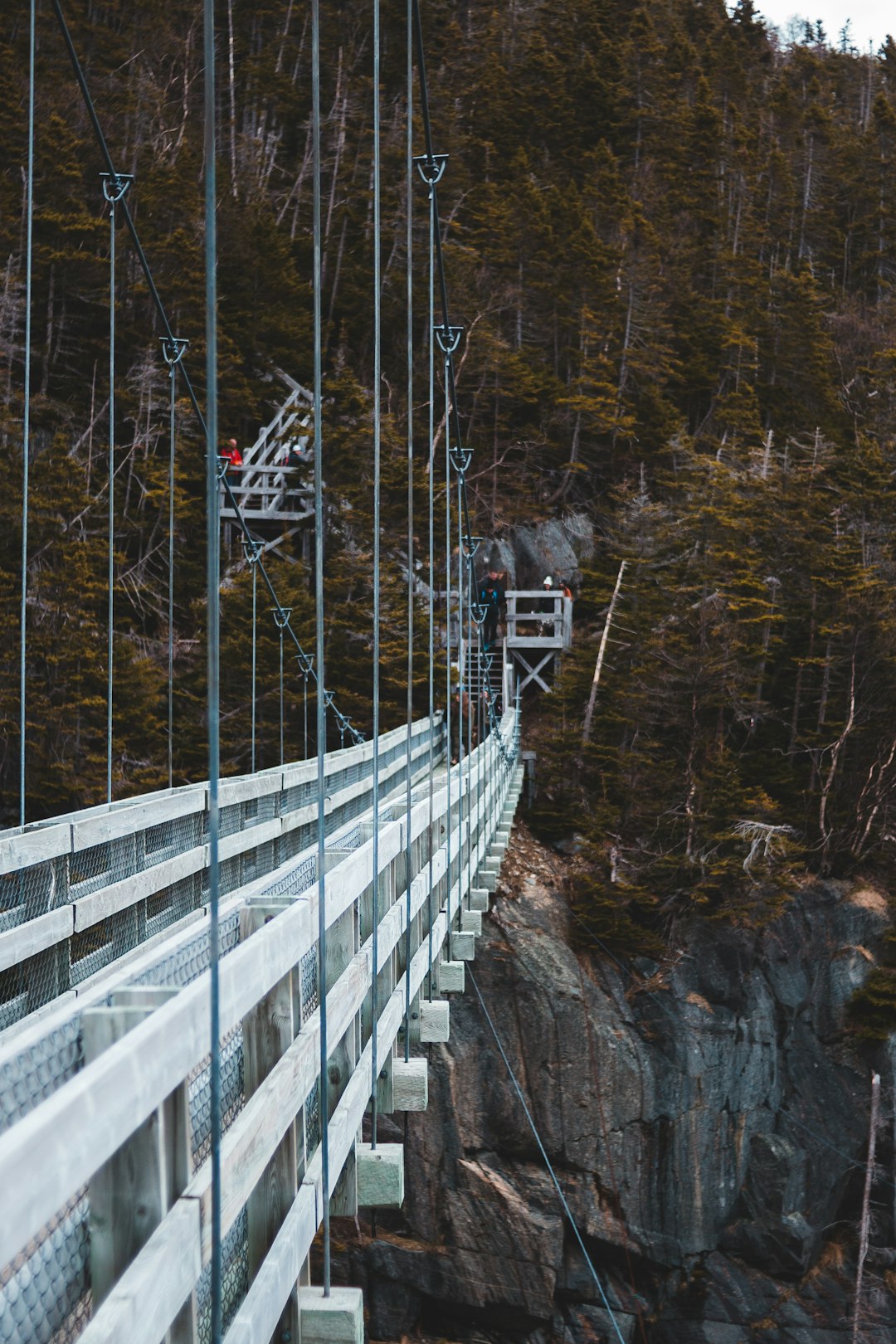 white and gray hanging bridge