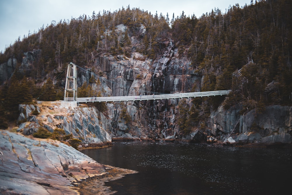 ponte branca sobre o rio durante o dia