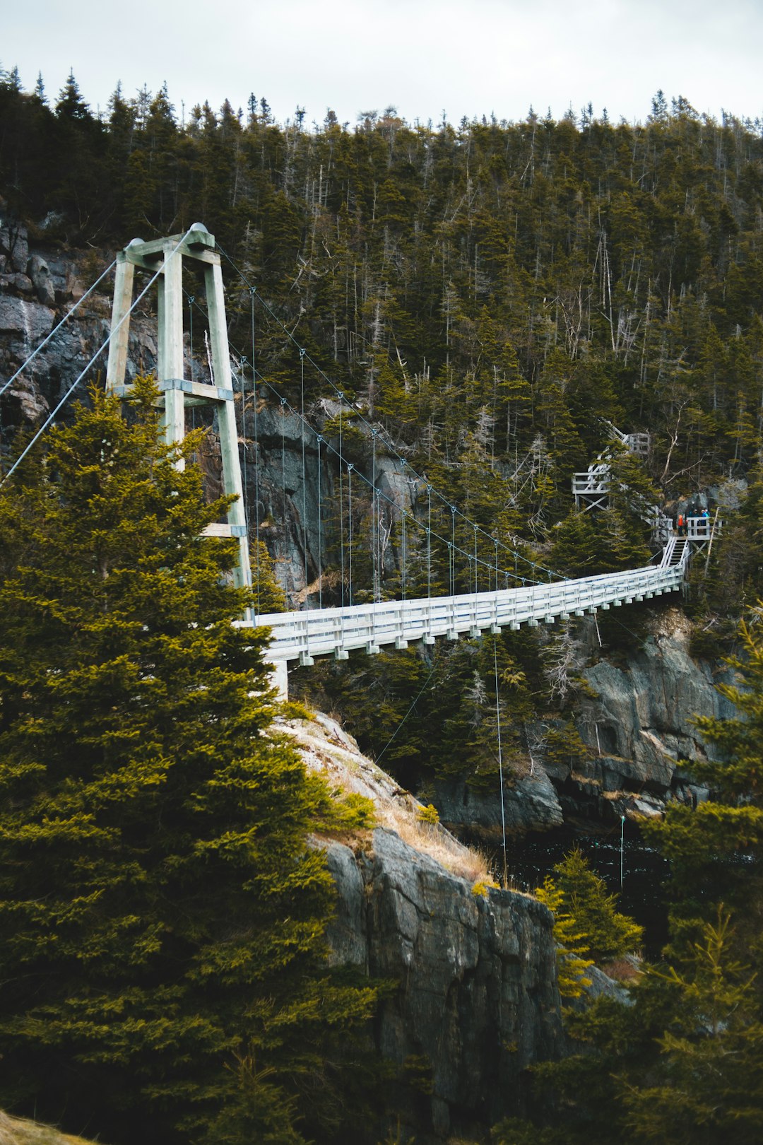 travelers stories about Suspension bridge in La Manche, Canada