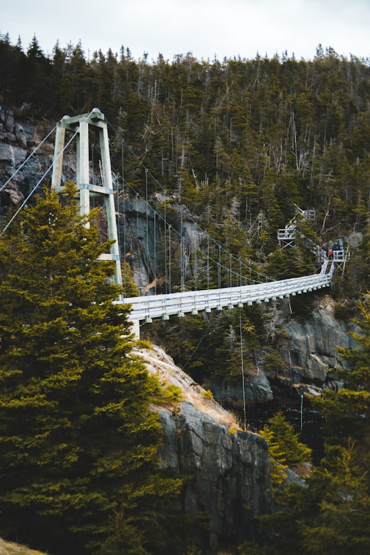 photo of La Manche Suspension bridge near St. John's