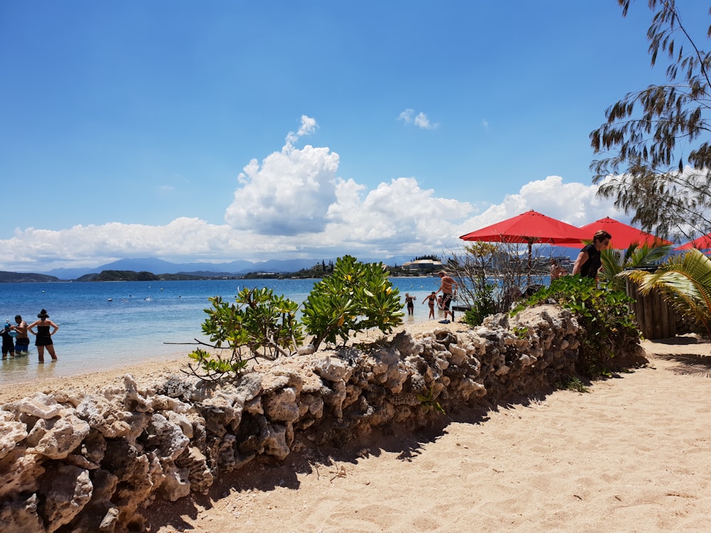 red and white house near beach under blue sky during daytime