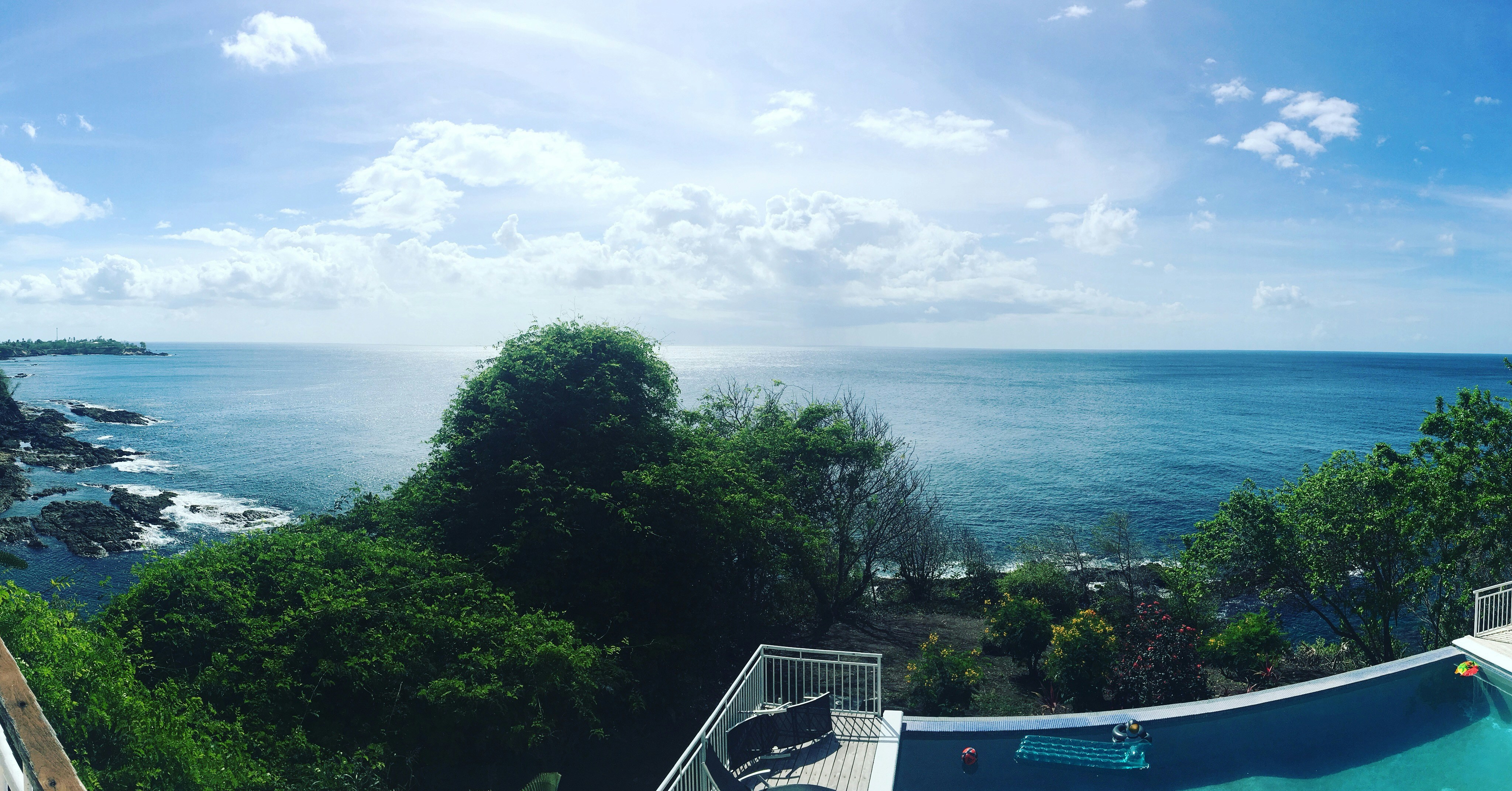 green trees near body of water during daytime trinidad and tobago teams background