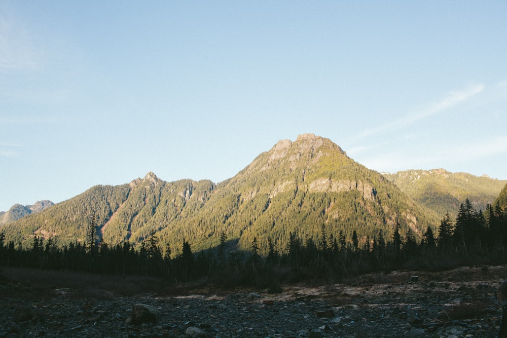 brown and green mountain under blue sky during daytime