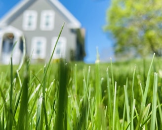 white and blue house in green grass field