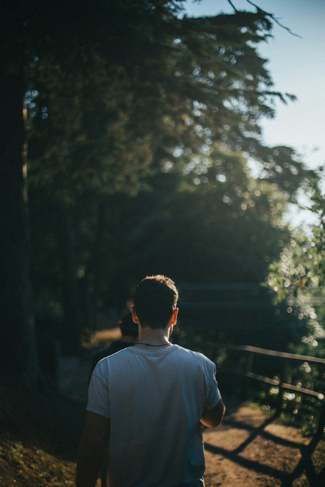 Forest photo spot Lisbon Sintra