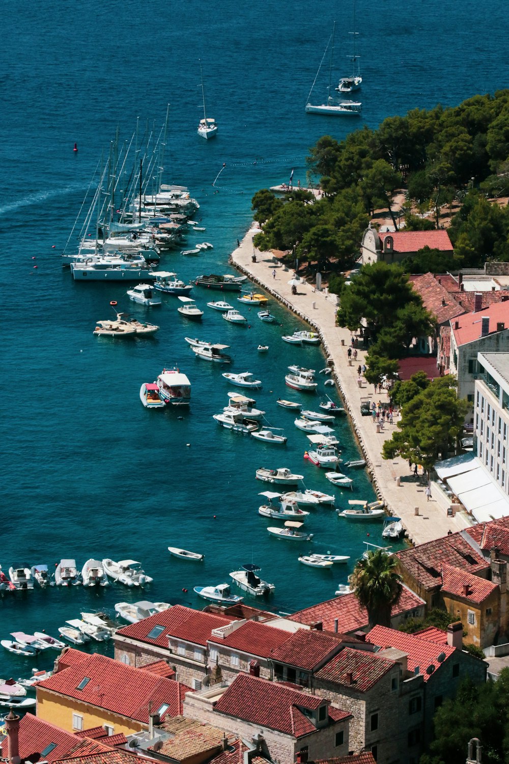 Veduta aerea di barche in mare vicino agli edifici della città durante il giorno