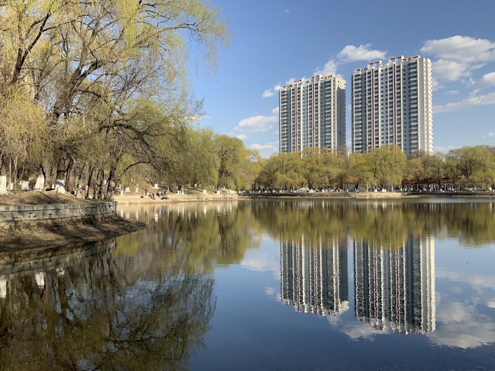 body of water near trees and high rise buildings during daytime