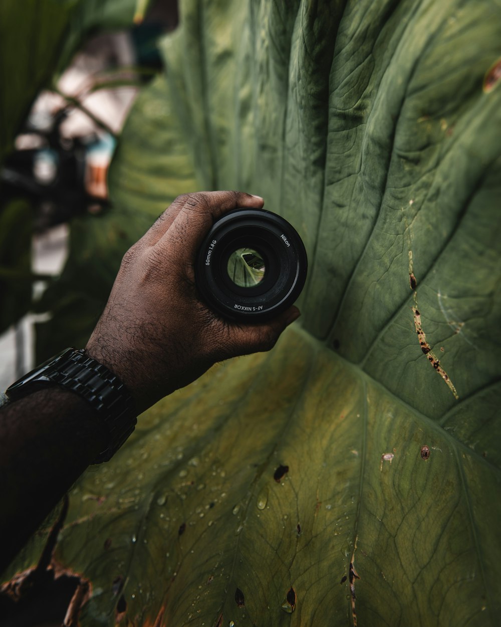 person holding black camera lens