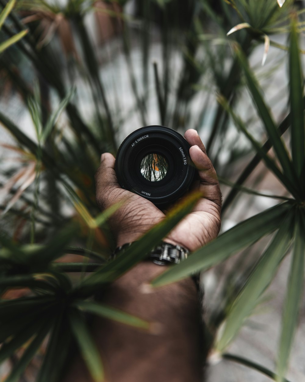 person holding black camera lens