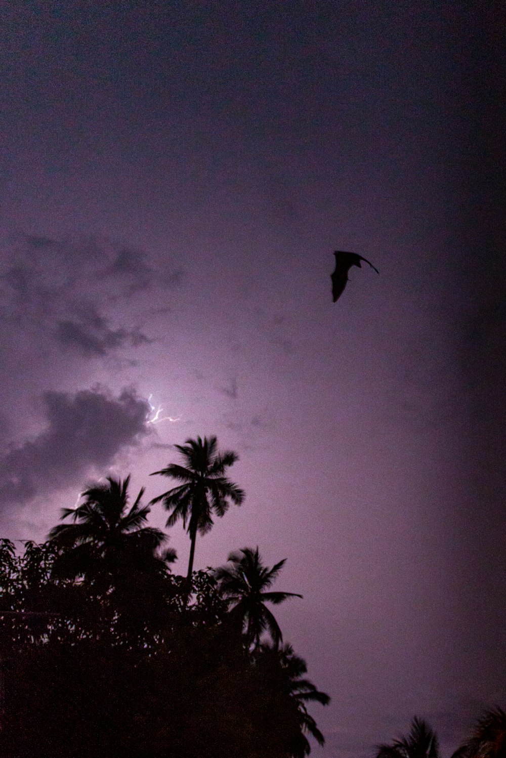 a bird flying through a cloudy sky with palm trees