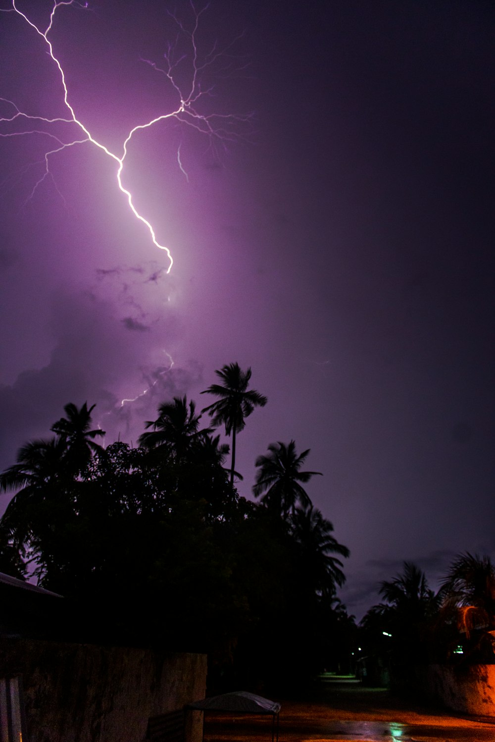 lightning strike over green trees