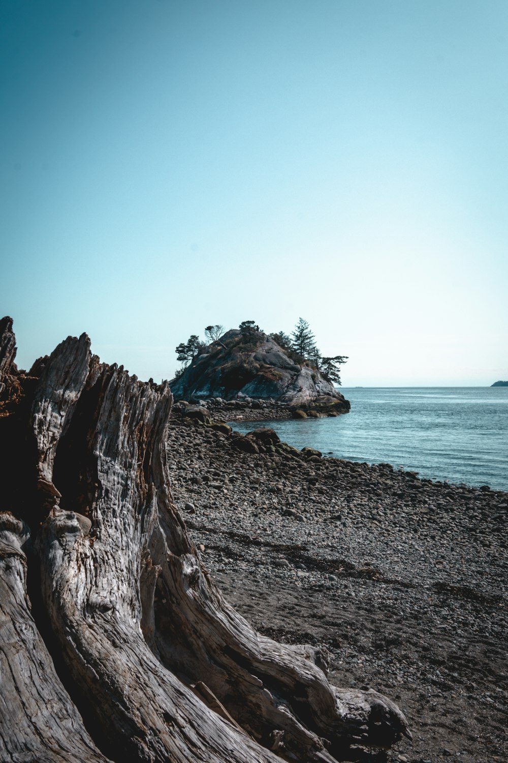 Formation rocheuse brune sur le bord de la mer pendant la journée