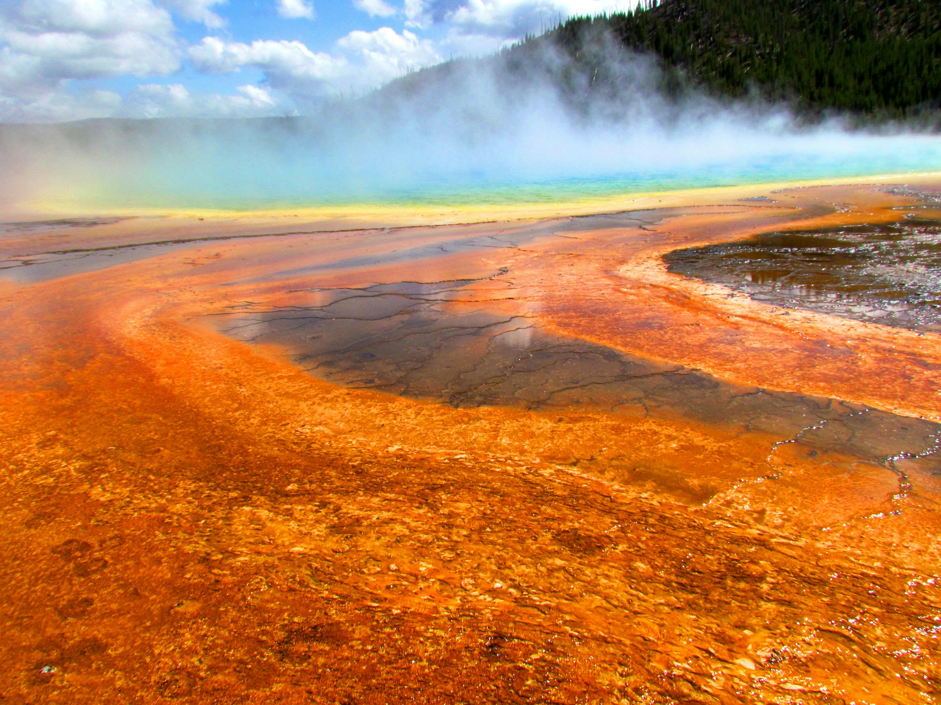 Photo by dawg_giraffe