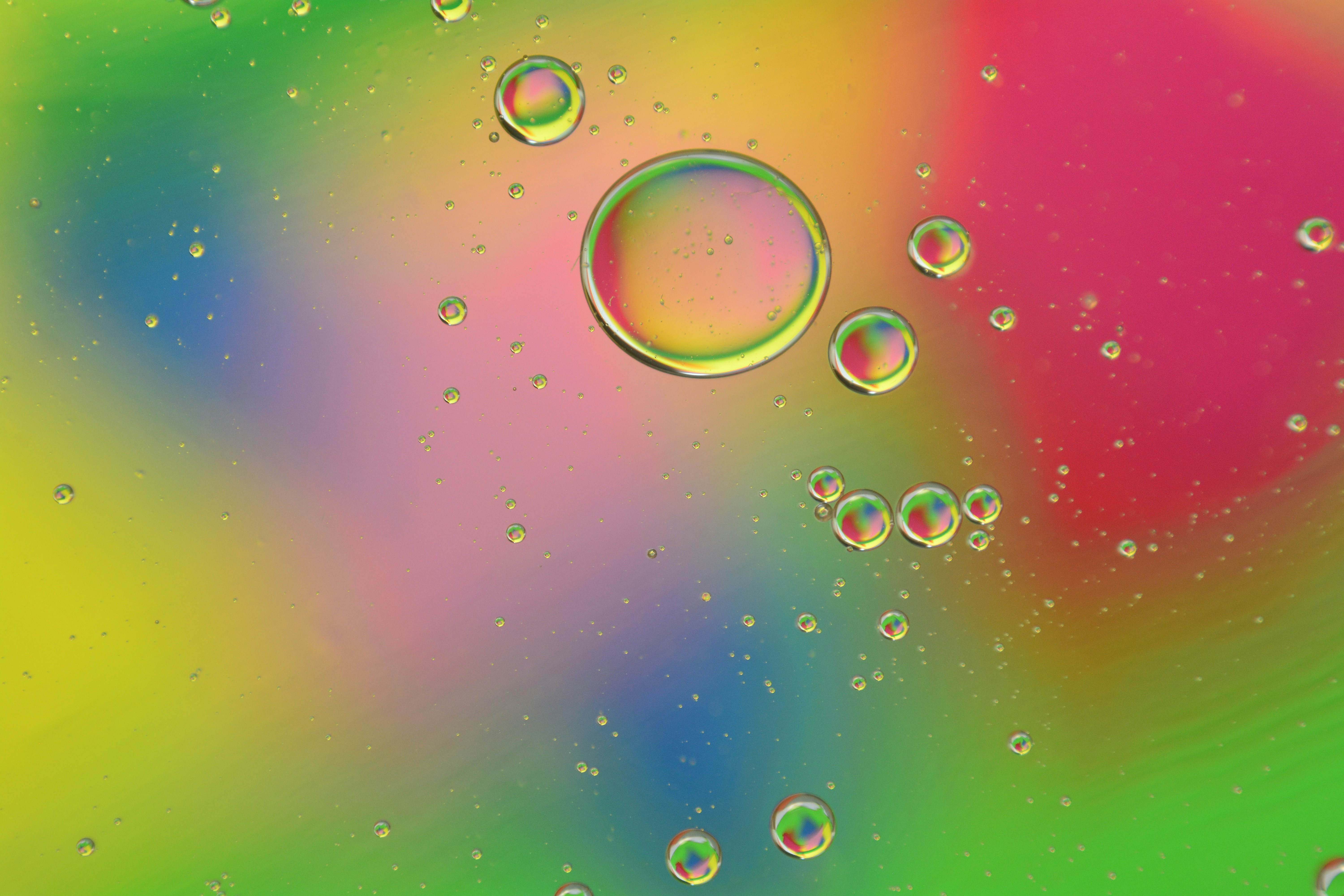 Photo by ffotografoshop