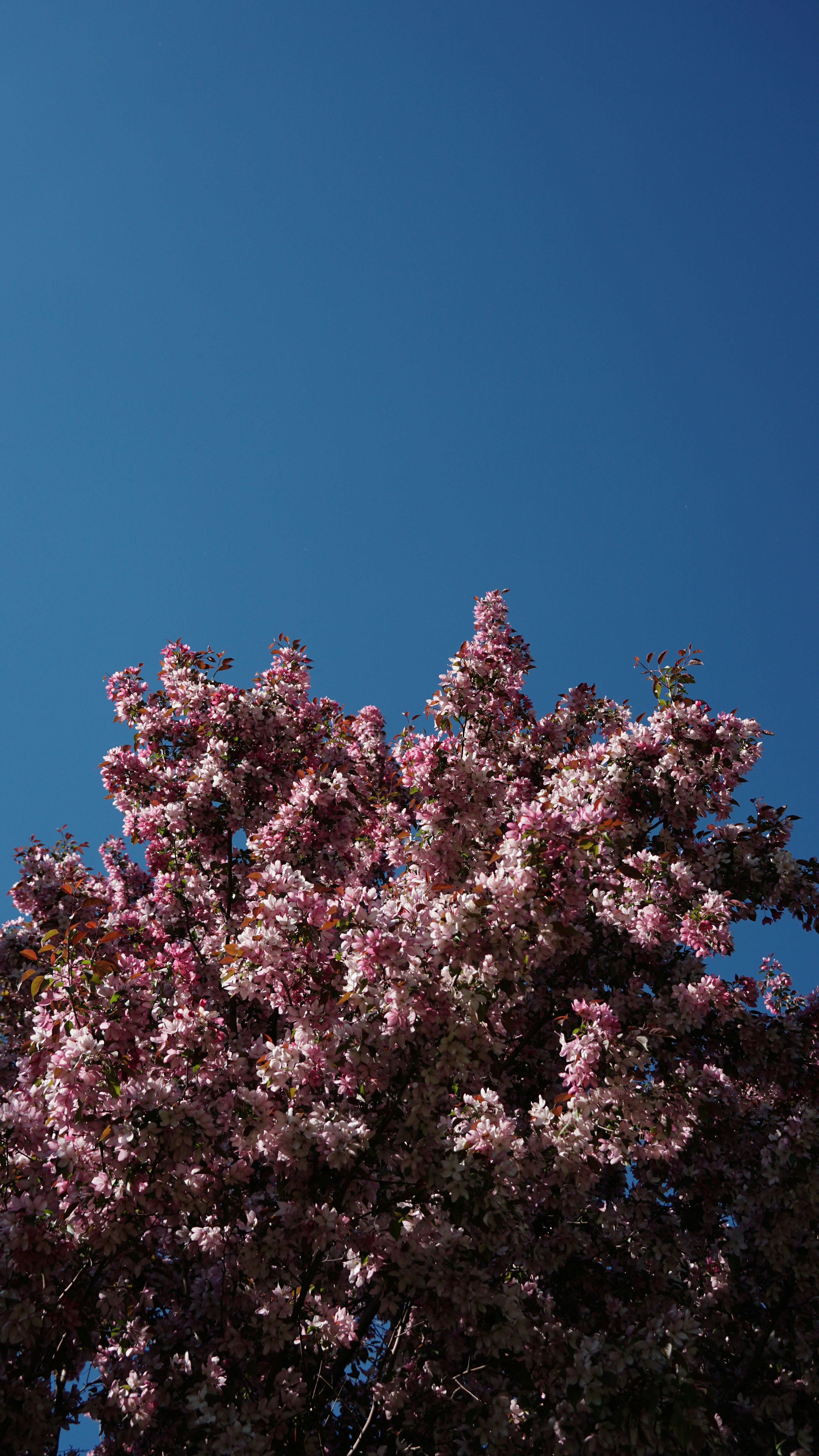 Photo by eternalseconds