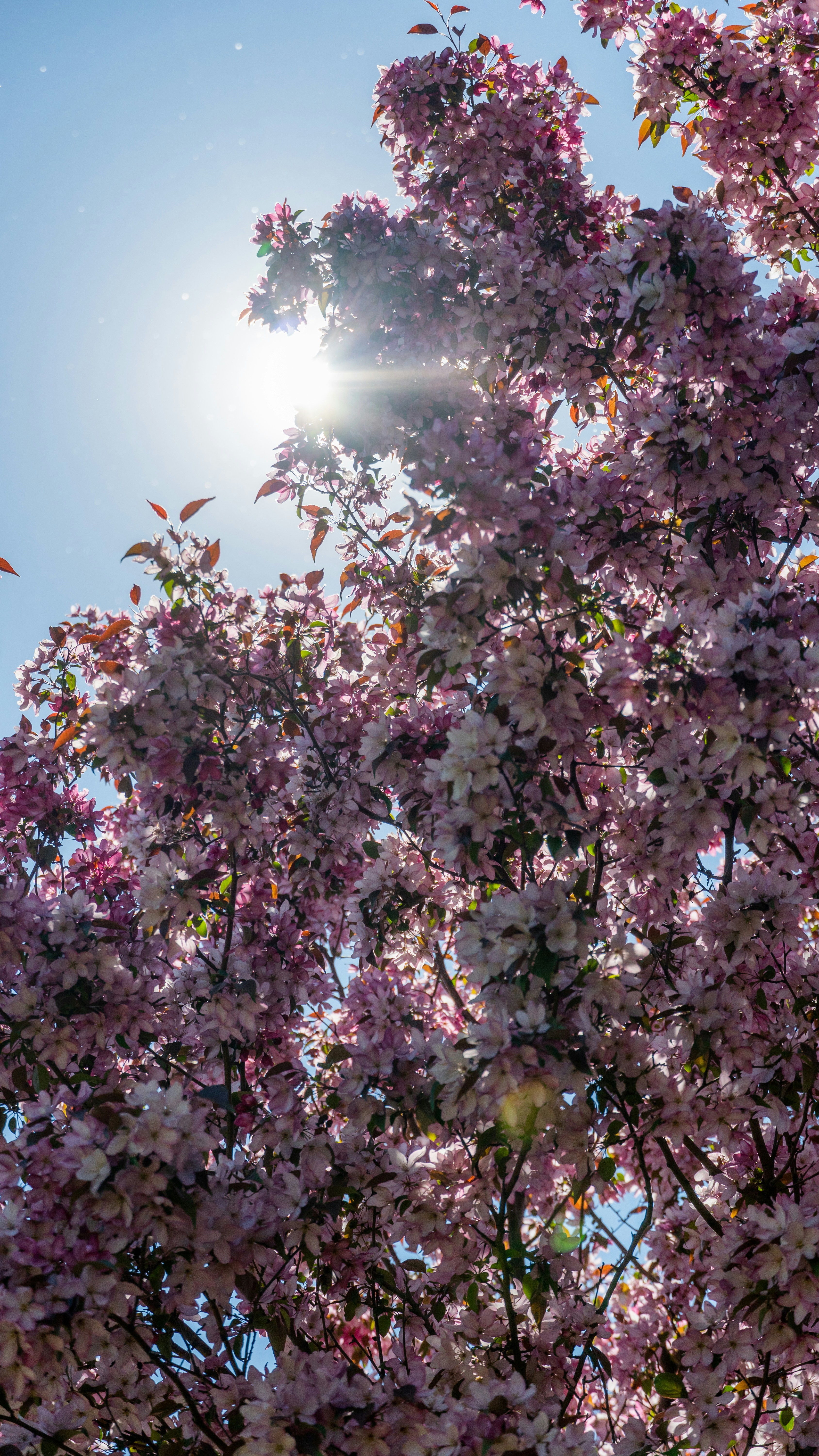 Photo by eternalseconds