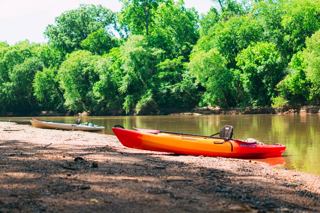red kayak on brown sand near green trees during daytime