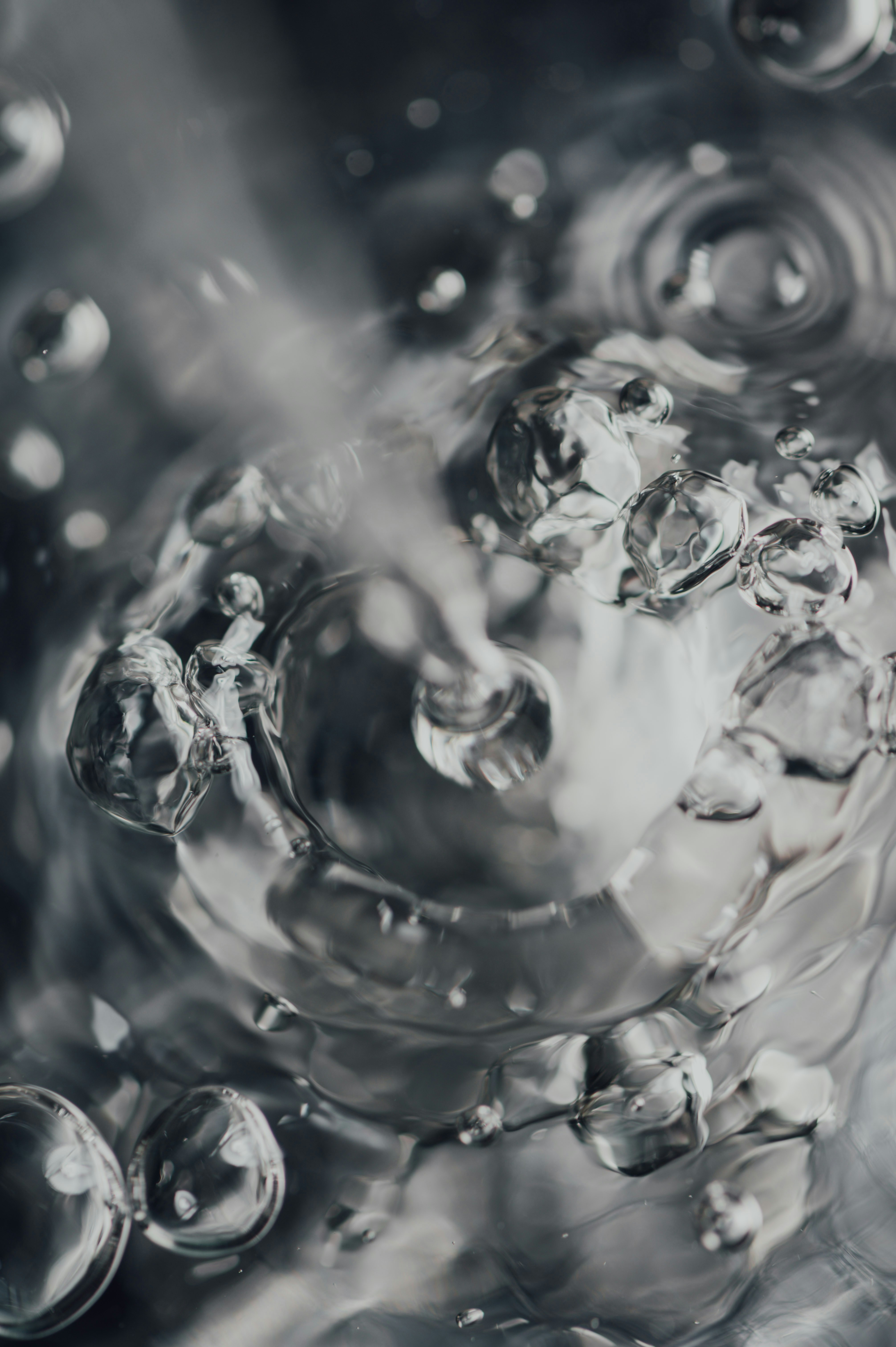 Photo by chuttersnap