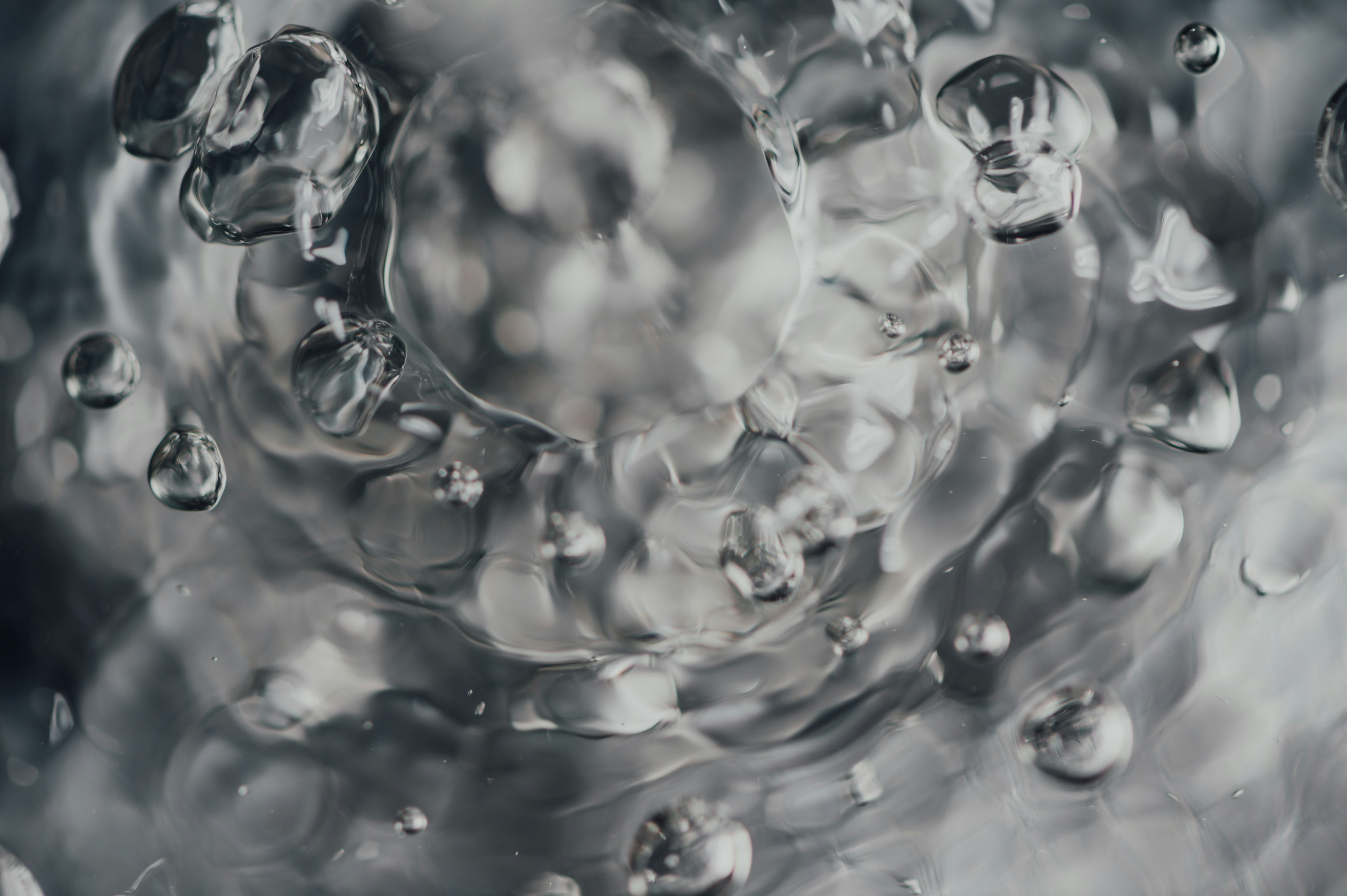 Photo by chuttersnap