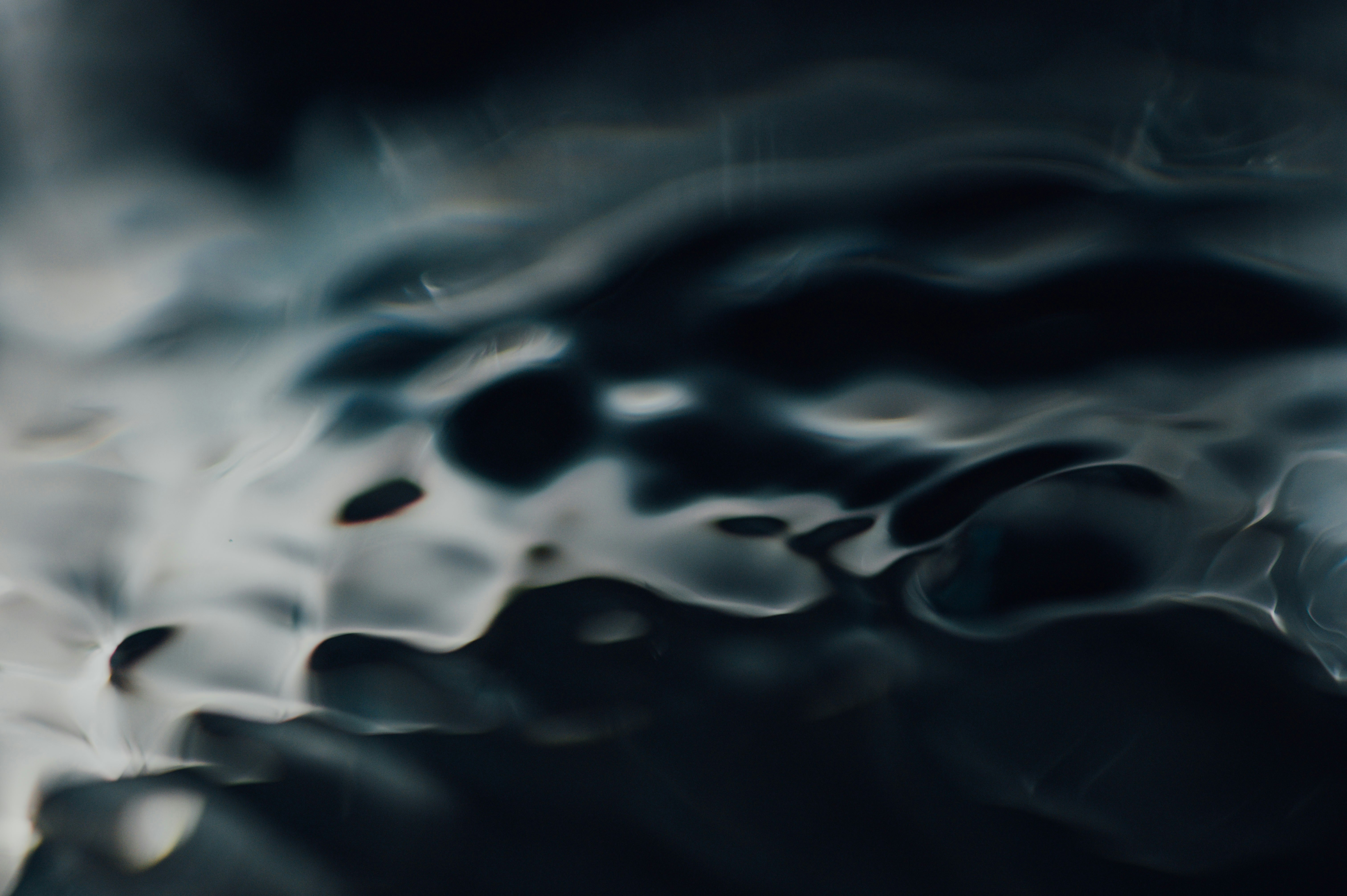 Photo by chuttersnap