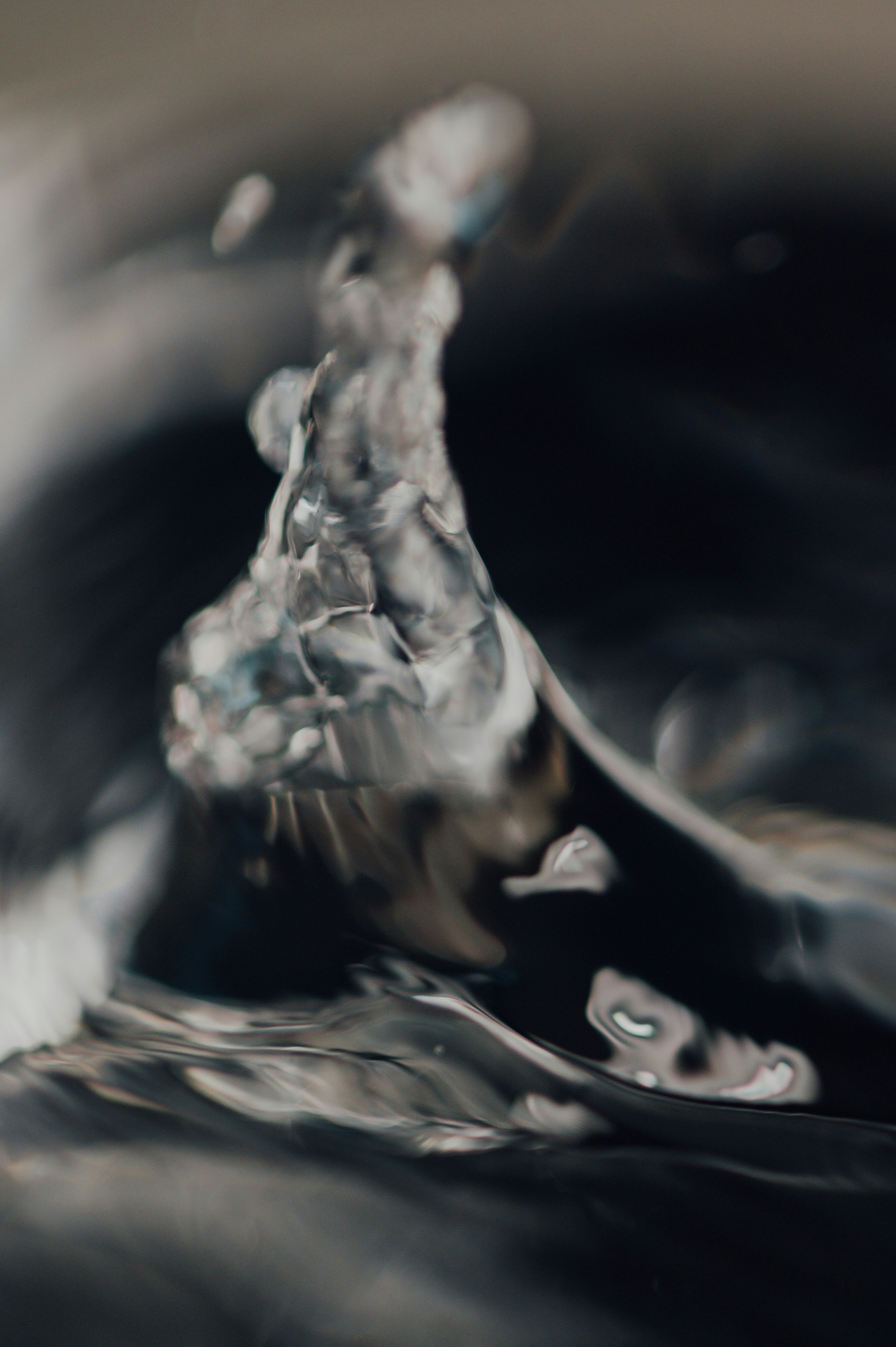 Photo by chuttersnap