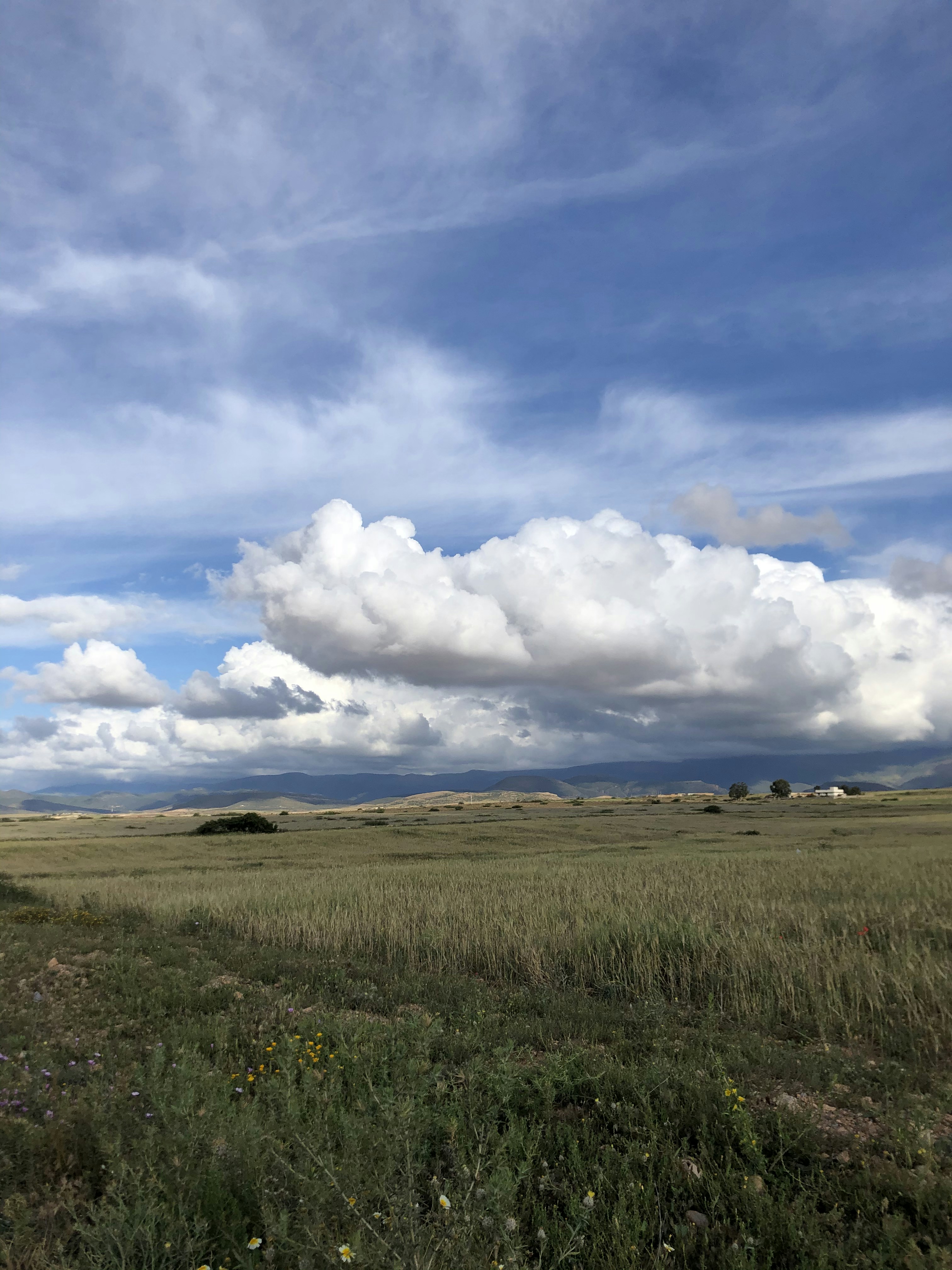 Photo by nothingshota