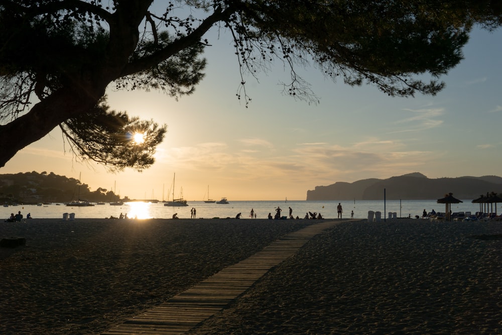 people walking on sidewalk near body of water during daytime