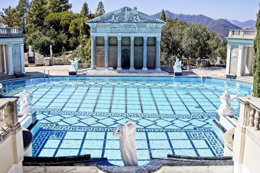 white dog on blue and white floor tiles