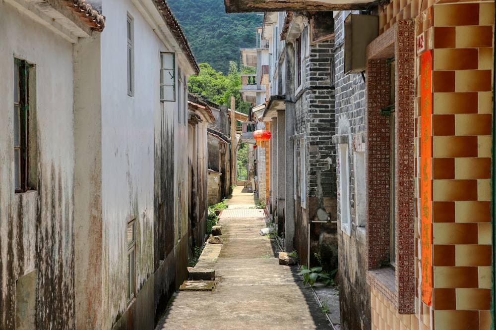 empty street between concrete houses during daytime