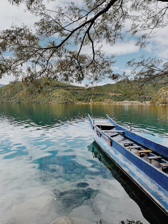 white and brown boat on river during daytime in Yunnan China