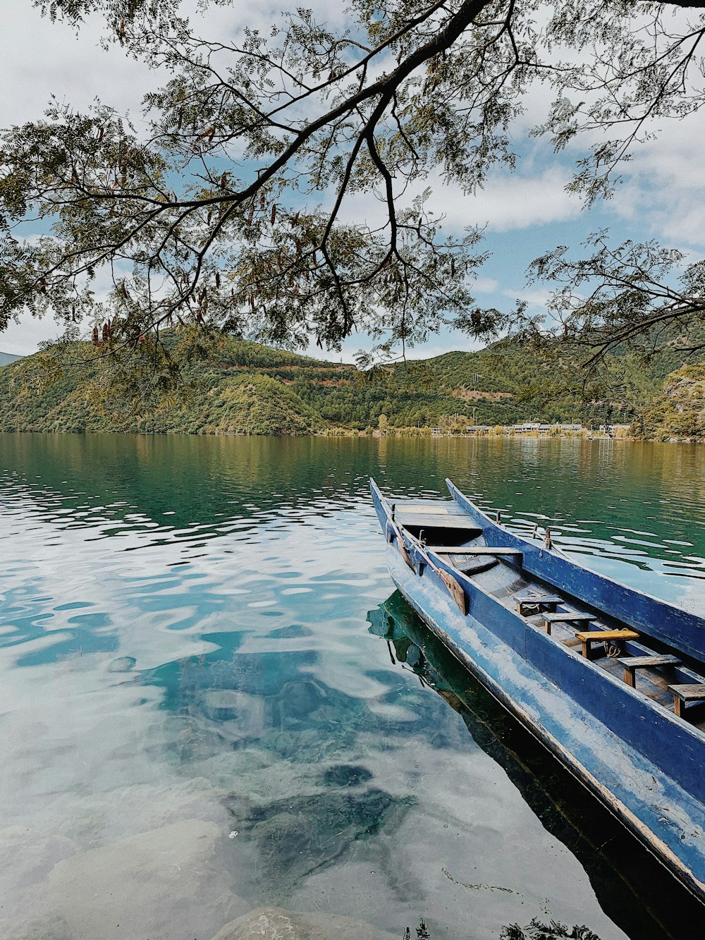 white and brown boat on river during daytime