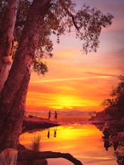 silhouette of person standing on seashore during sunset