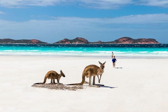 Cape Le Grand National Park things to do in Esperance