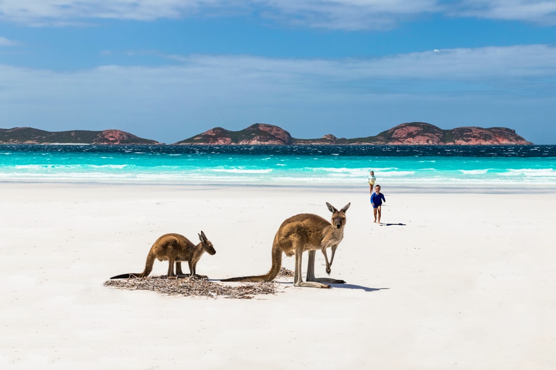 Travel Tips and Stories of Lake Hillier in Australia