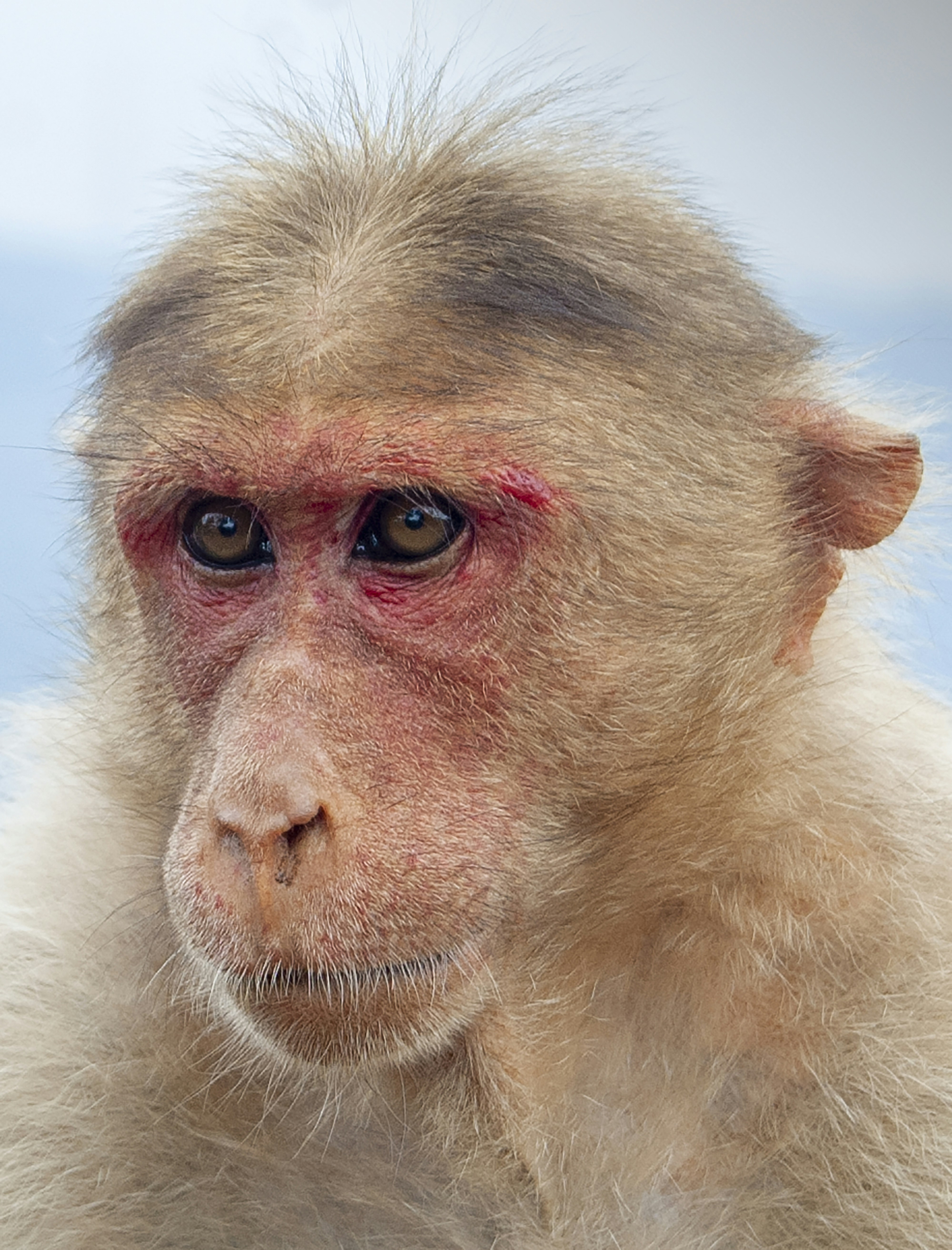 Photo by anway_pawar