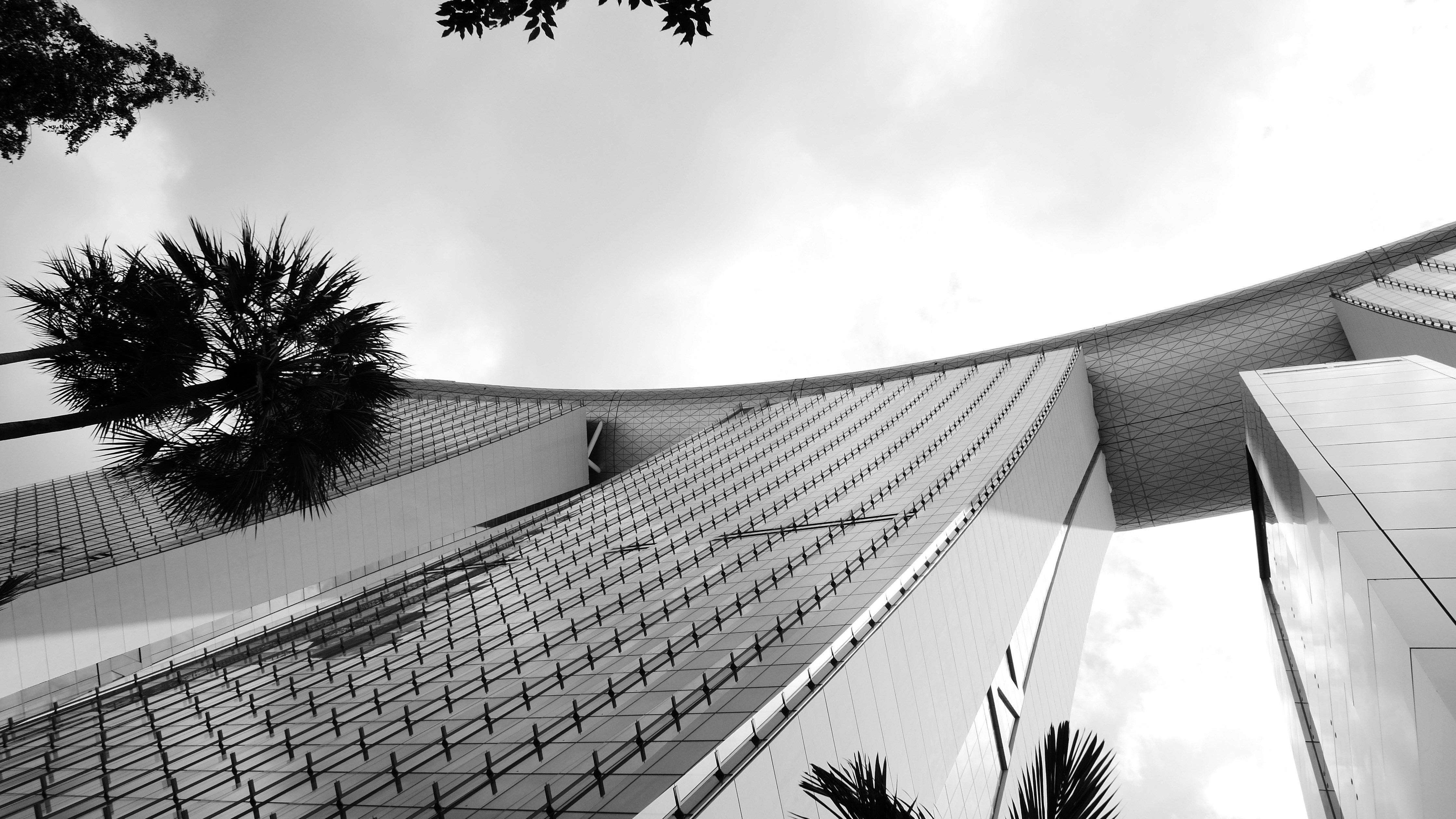 Consulting Trends That Will Shape 2025 for Writing & Content
