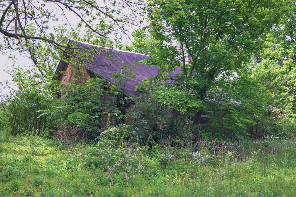 Maison en bois brun près d’arbres verts pendant la journée