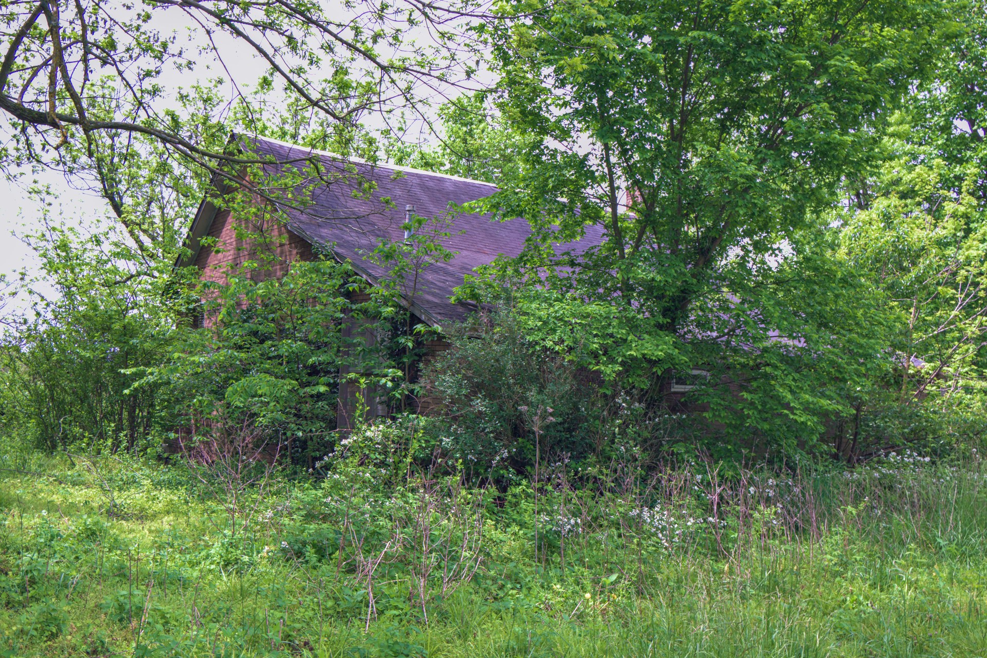 brown wooden house near green trees during daytime