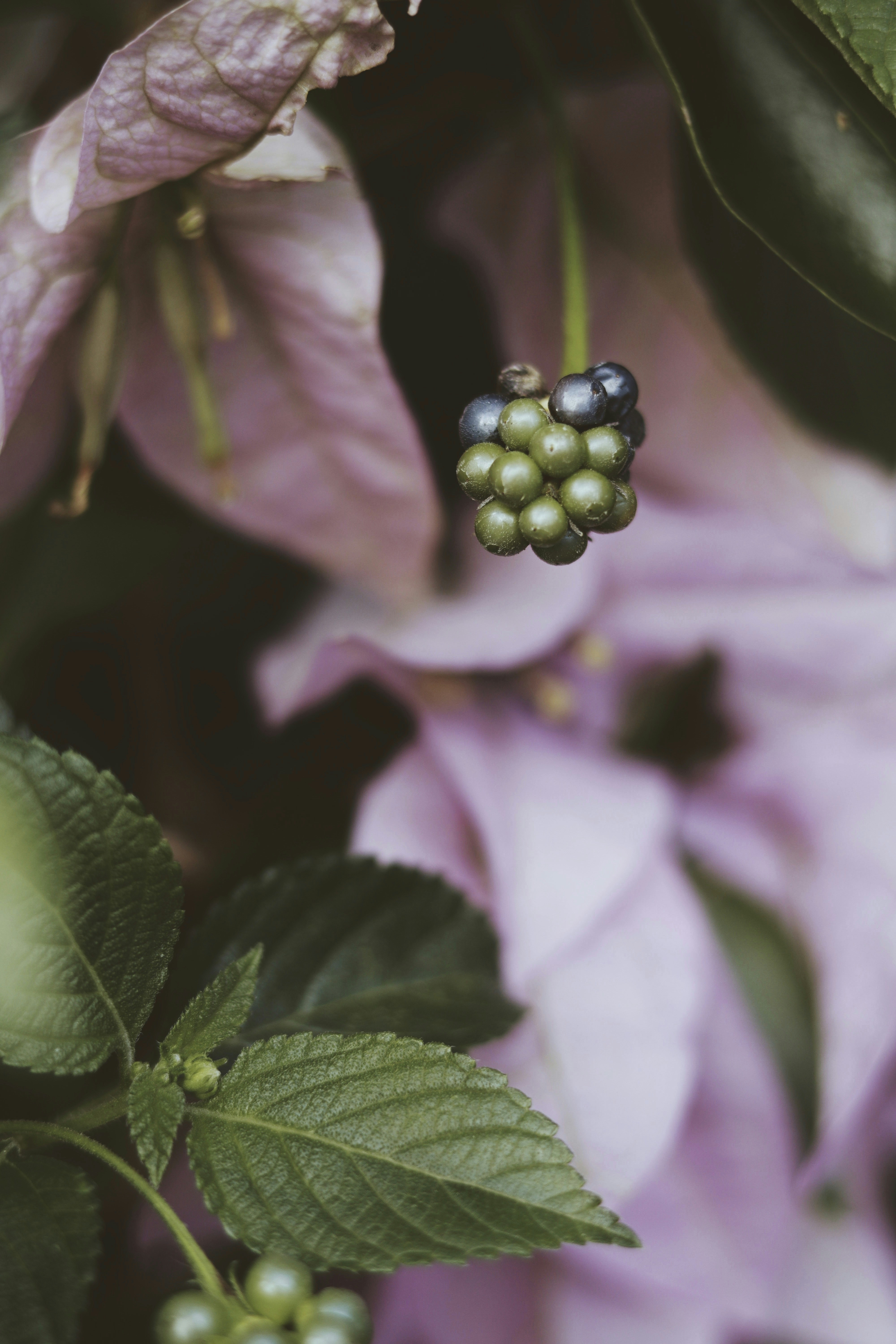 Photo by yelitsantana