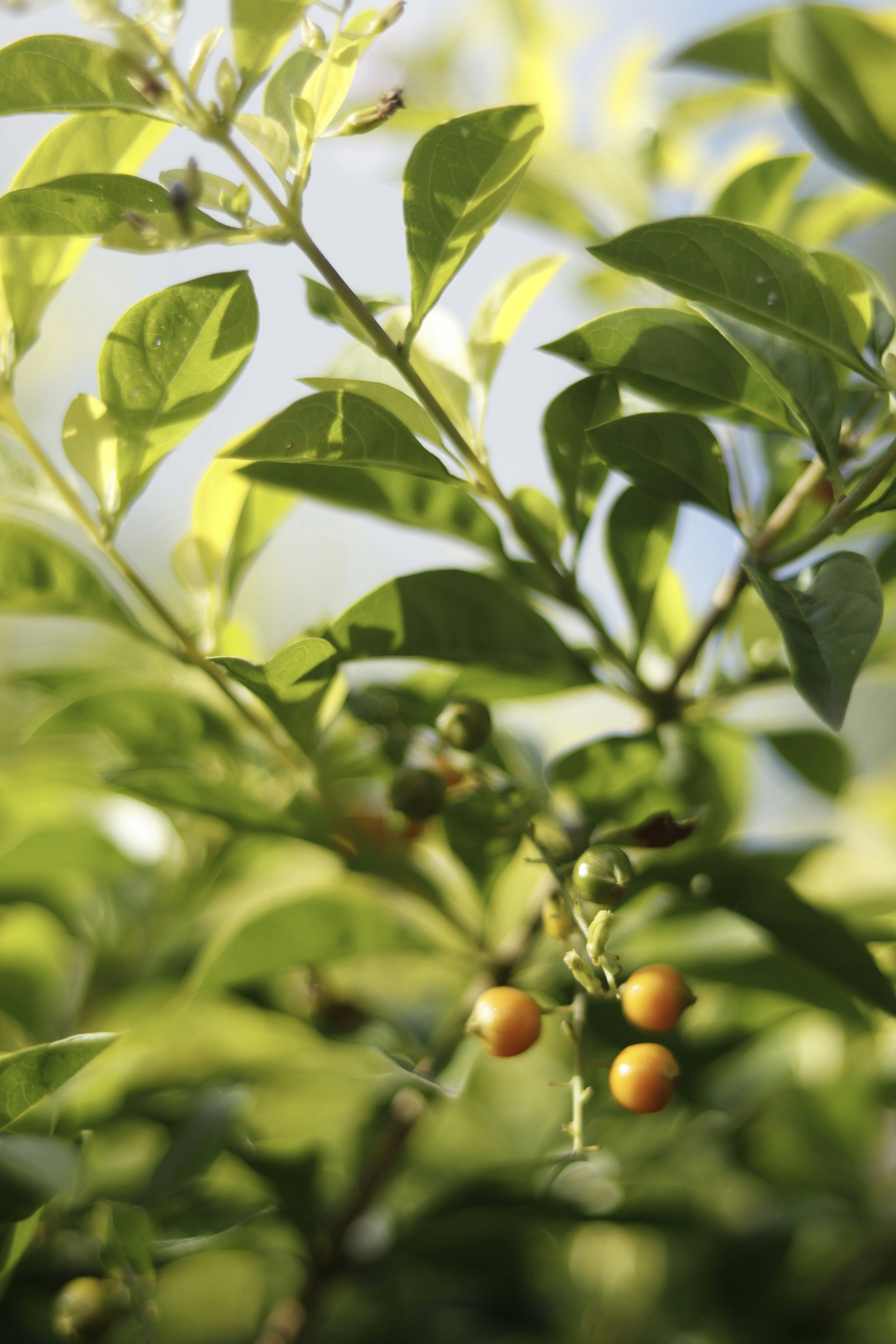 Photo by yelitsantana