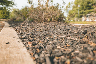 brown and black soil pathway