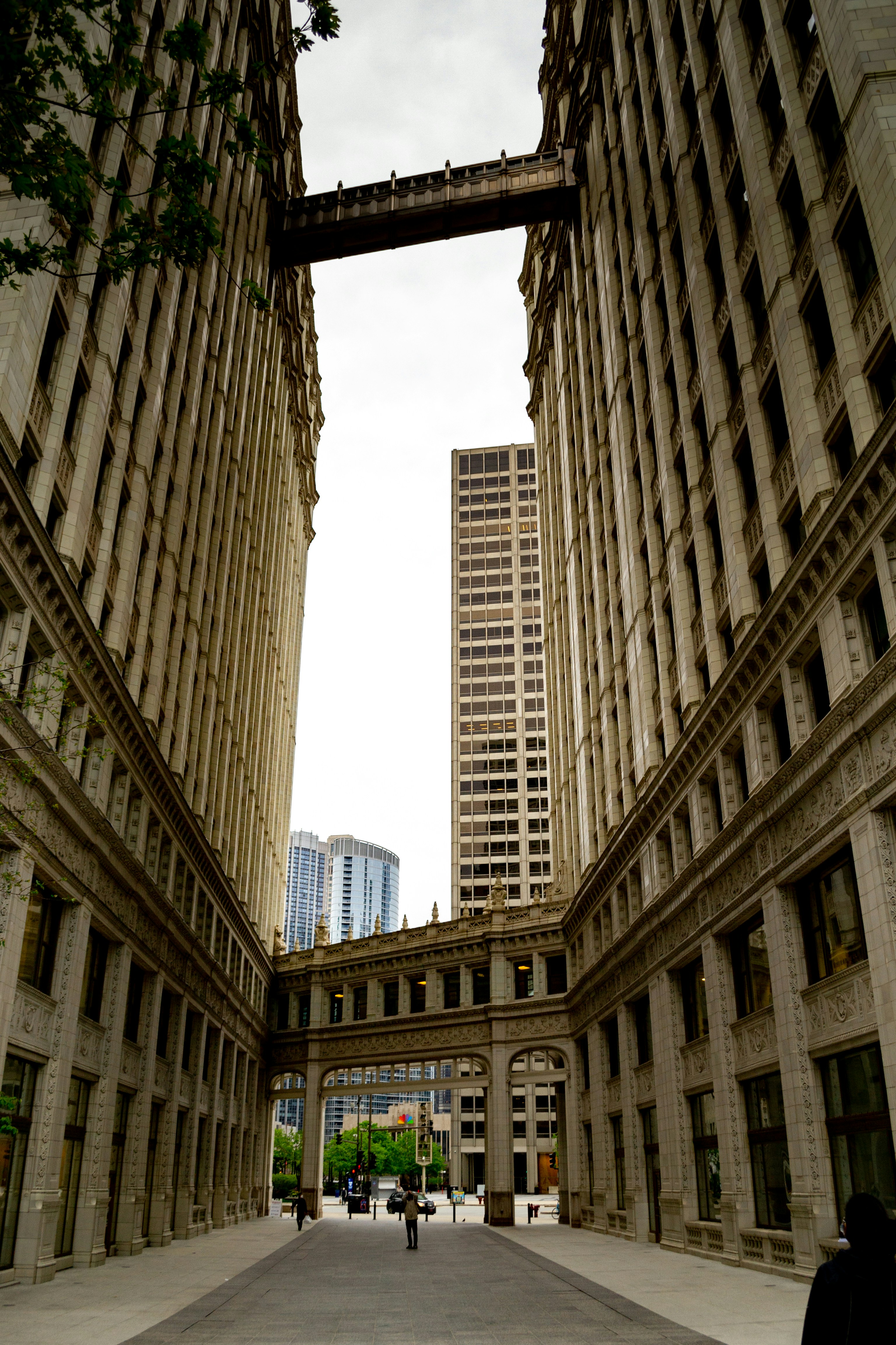 Photo by ellerysterling