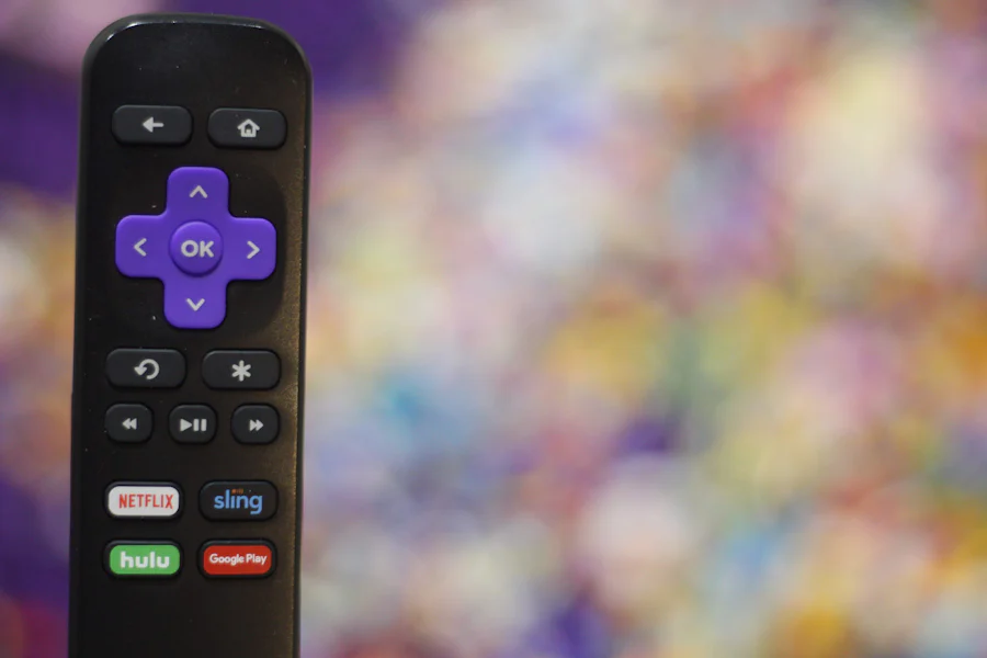 Roku Remote