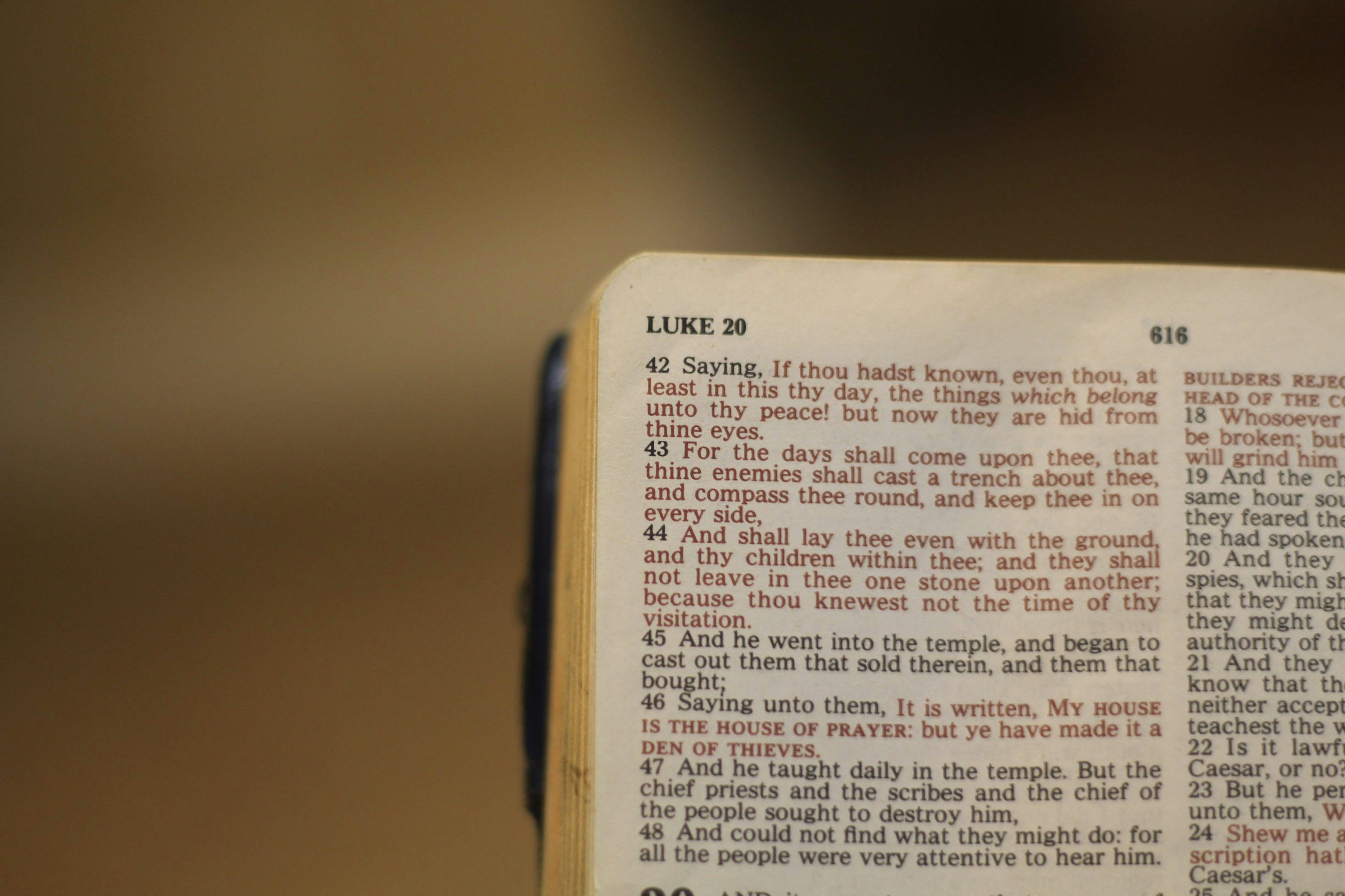 photo-1589693917455-a87b1f7d41f3?ixid=M3