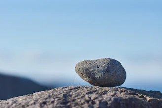 gray stone on brown soil during daytime