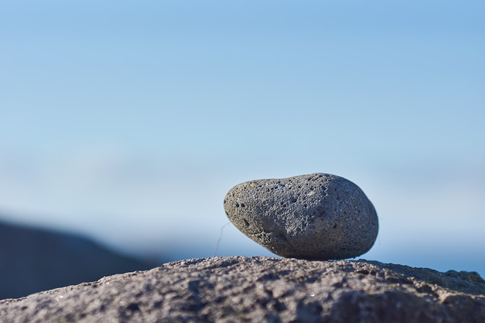 gray stone on brown soil during daytime