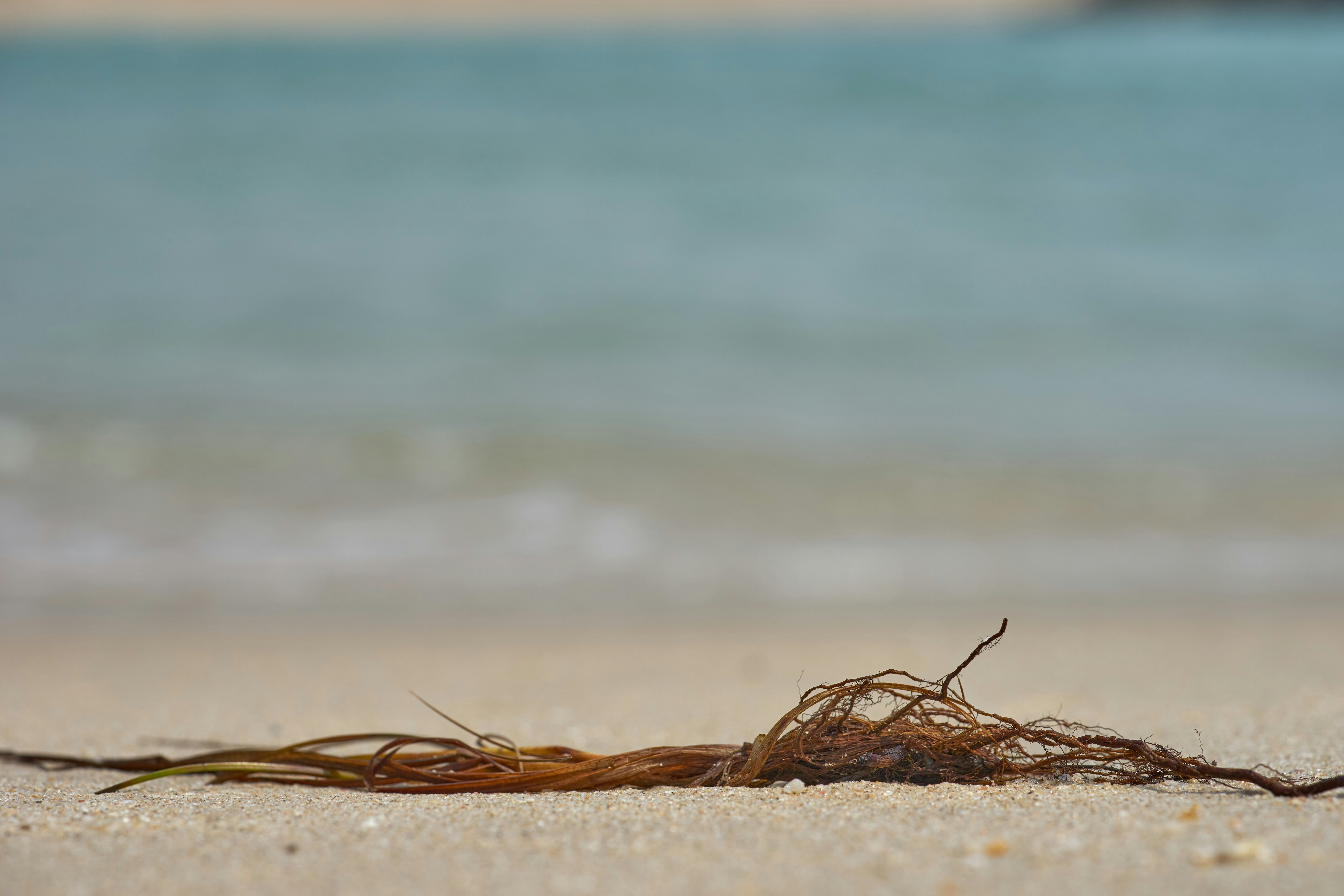 Photo by wolfgang_hasselmann