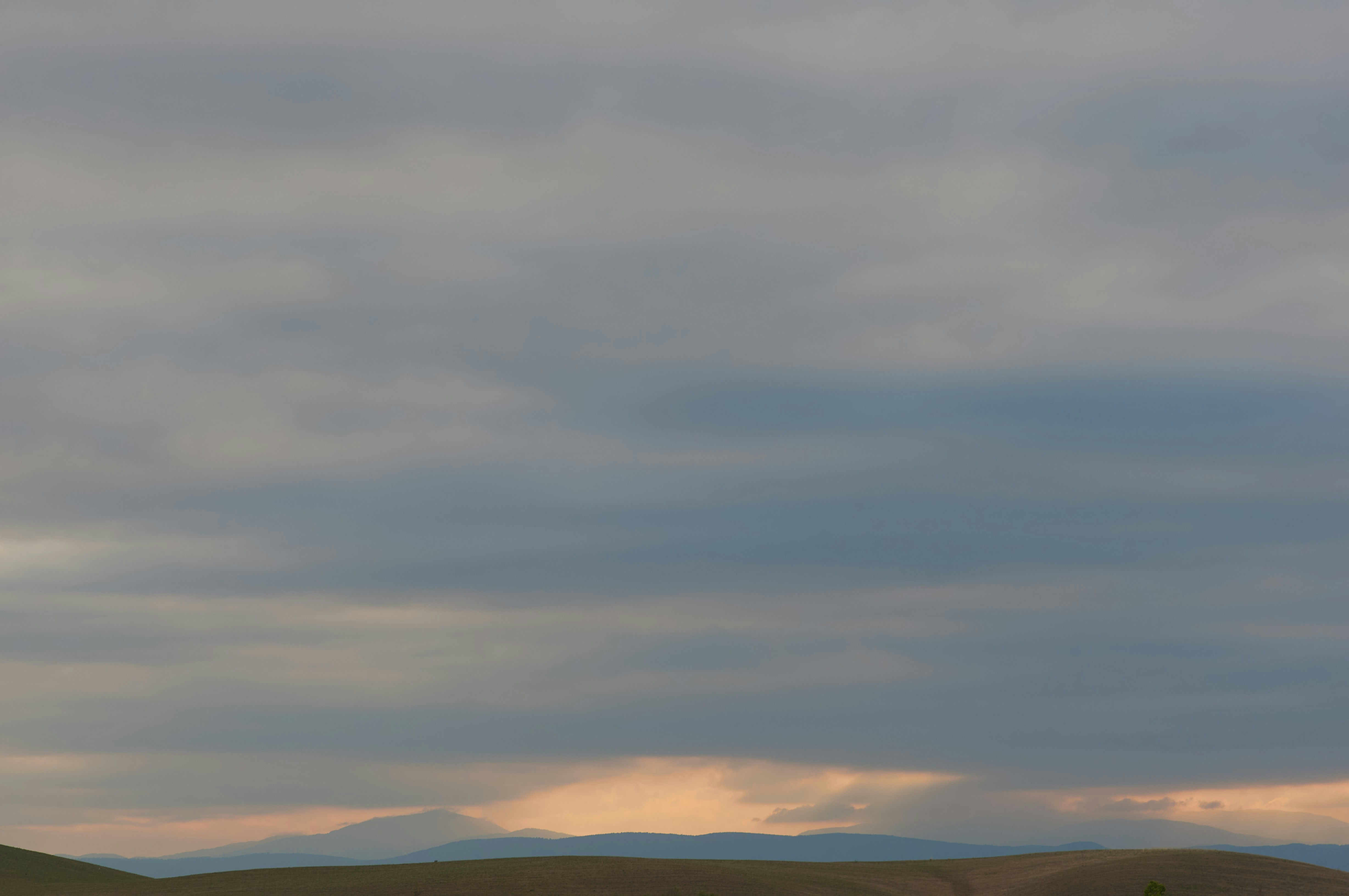 Photo by wolfgang_hasselmann