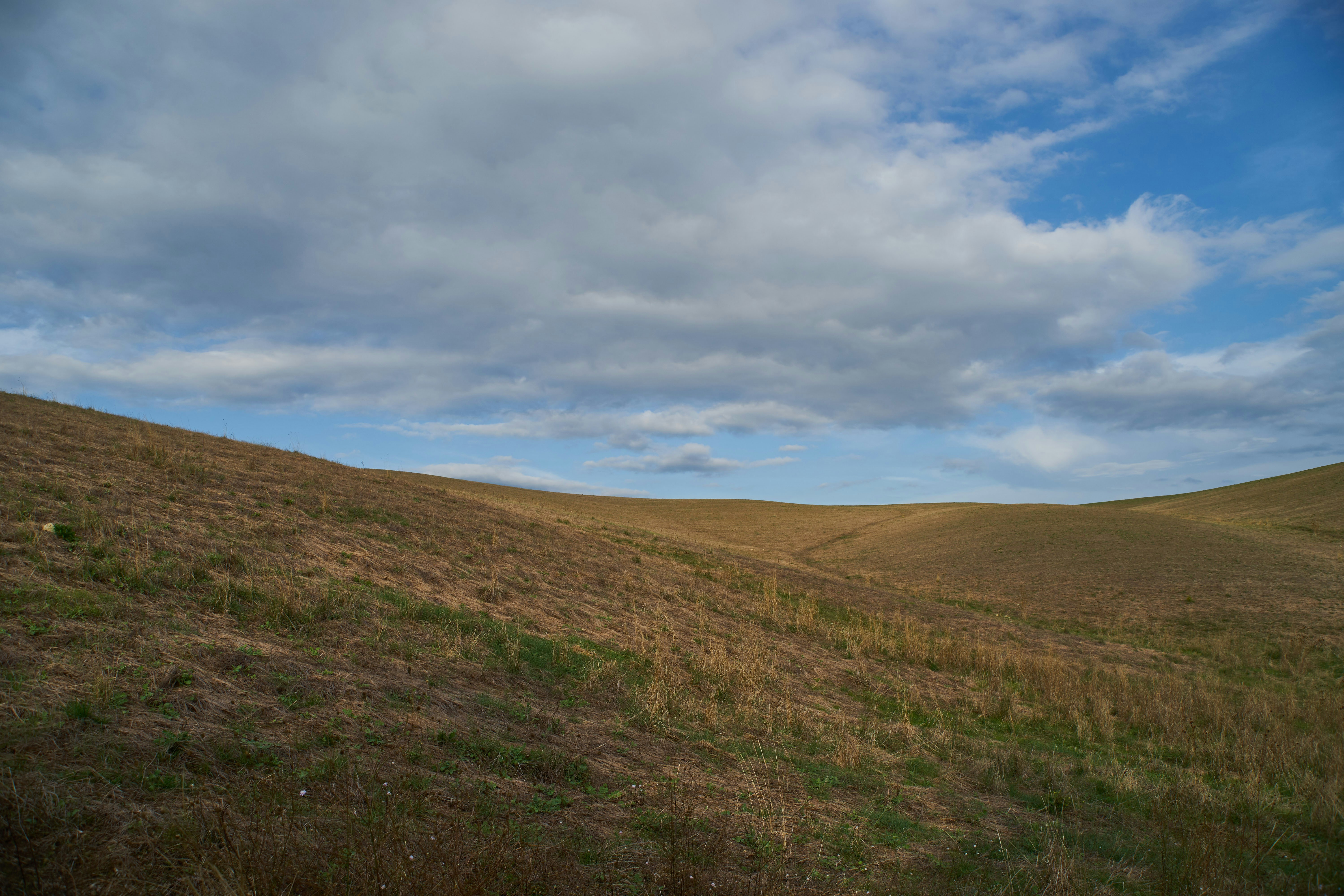 Photo by wolfgang_hasselmann